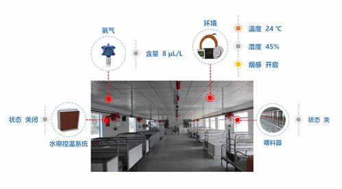 山东养猪场转型升级 自动化控制与智能化猪舍管理系统的实践